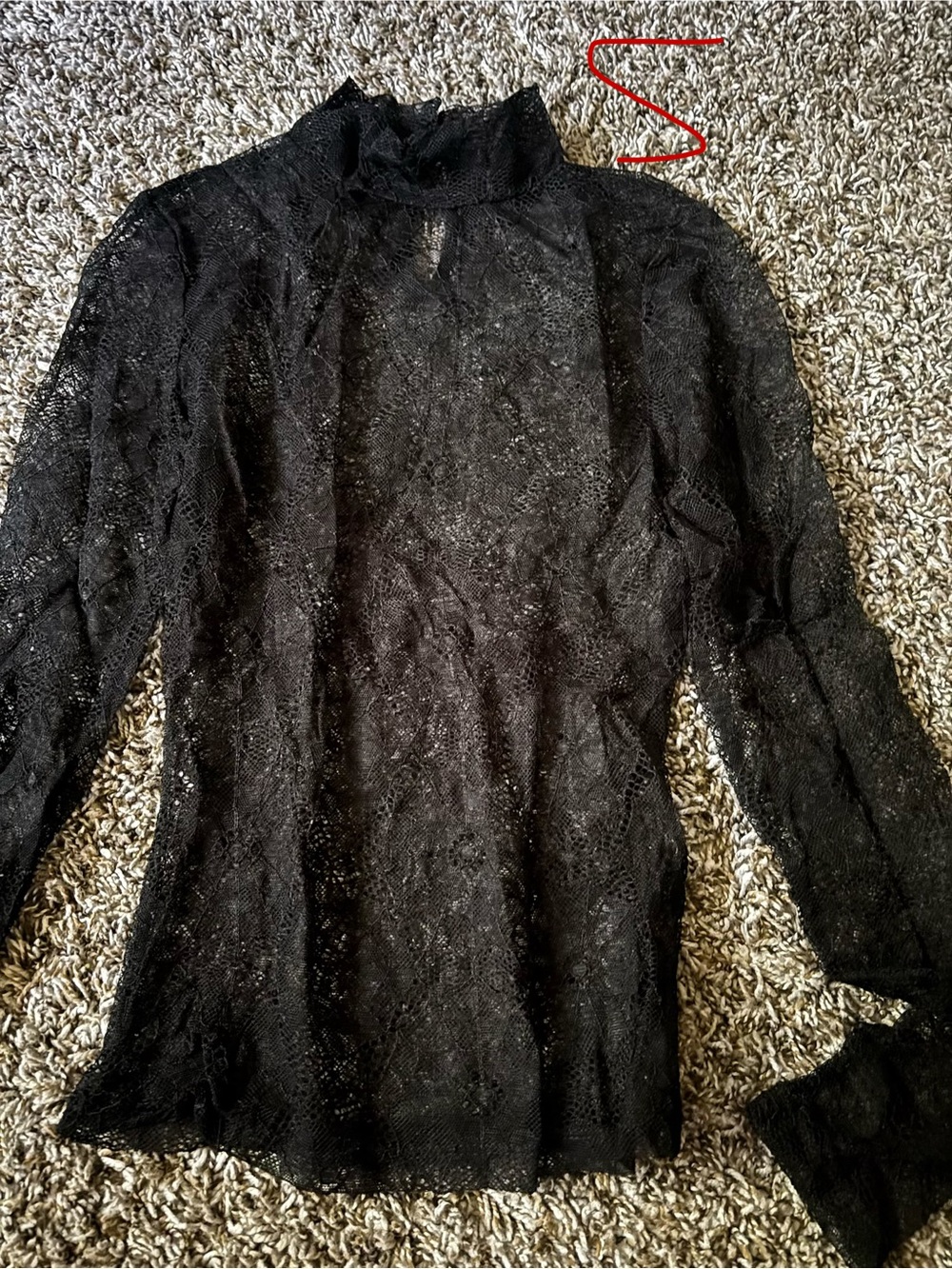 SHEIN Black Sheer Lace Long-Sleeve Mock Neck Top